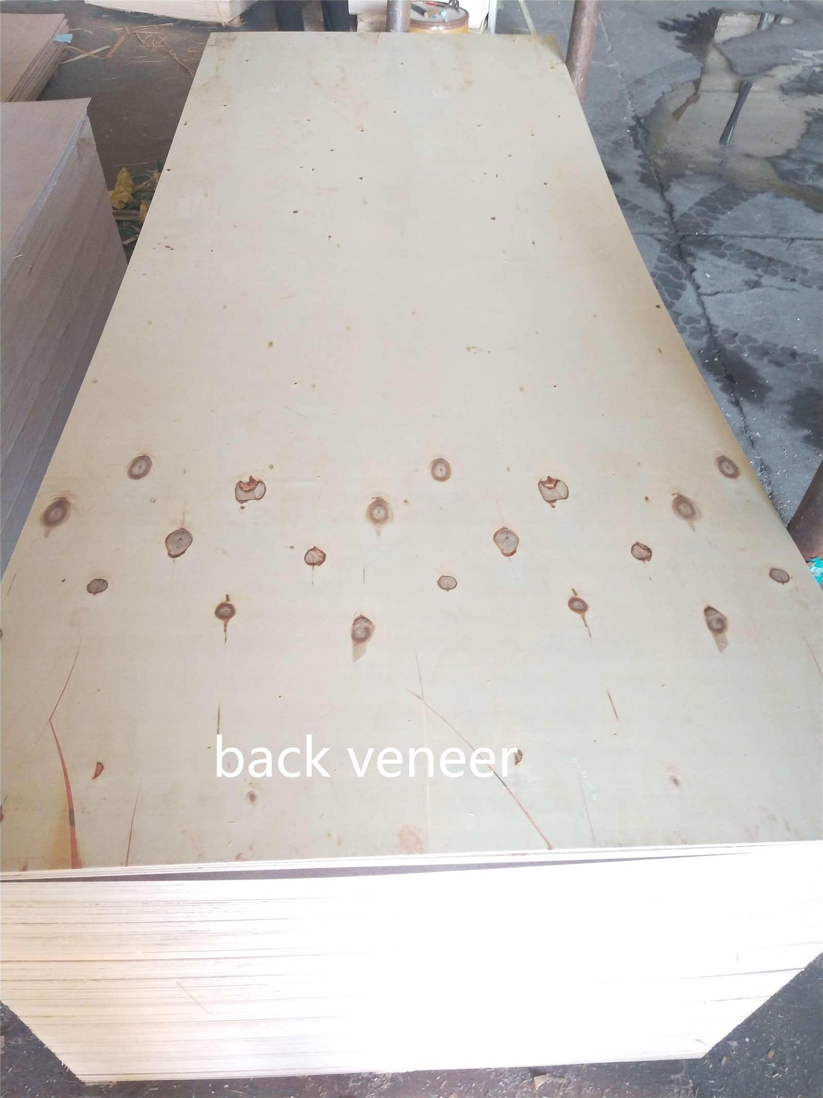back veneer of plywood door skin back veneer of plywood door skin