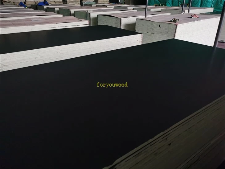 Non Structural Film Faced Plywood