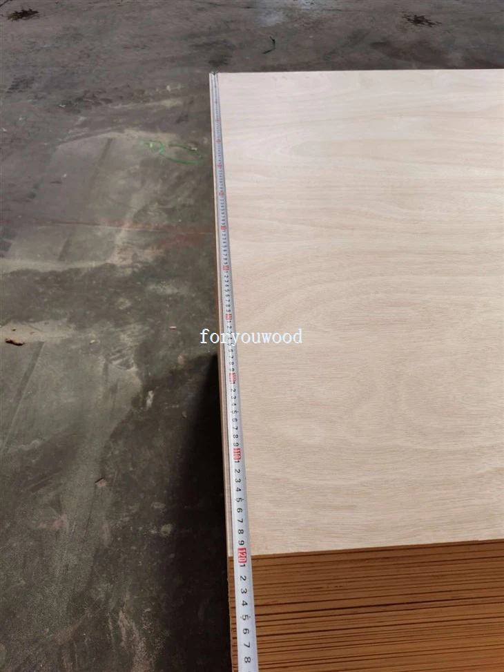 Plywood Okoume 2700x1200x9mm