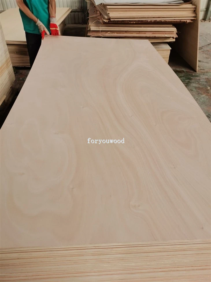 Poplar Mixed Eucalyptus Combi Core Okoume Plywoood