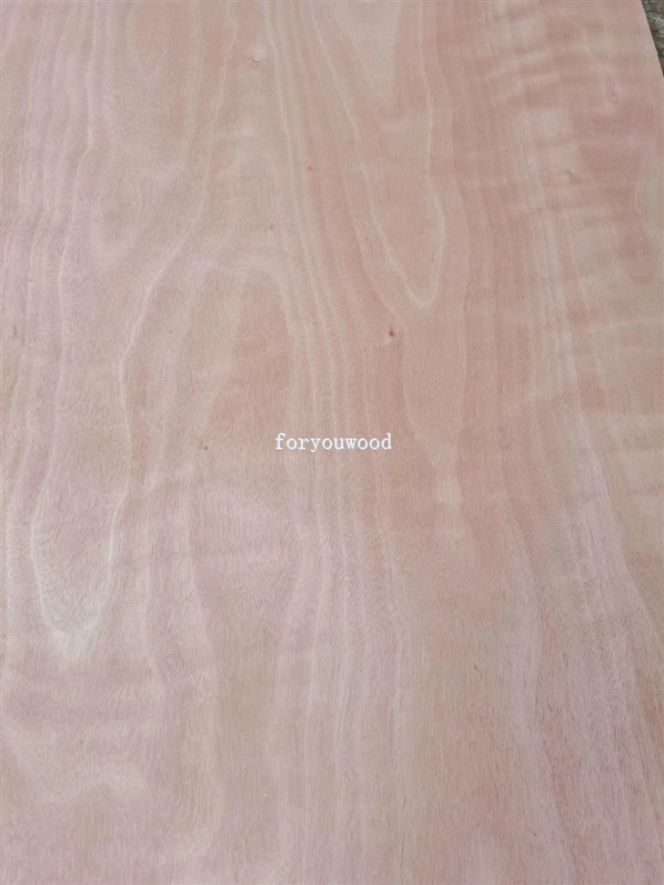 Poplar Mixed Eucalyptus Combi Core Okoume Plywoood